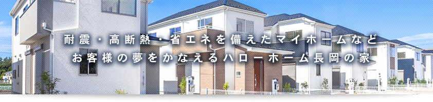 ハローホームの建築